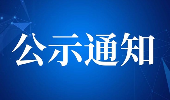 龙8